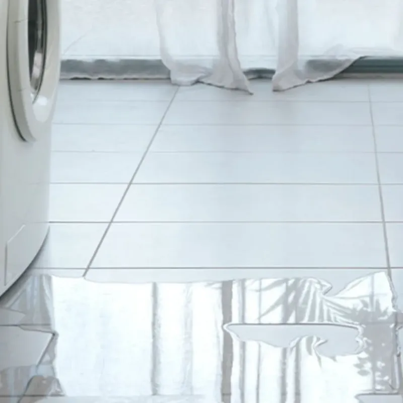 Appliance Leak Cleanup in Monroe County, TN