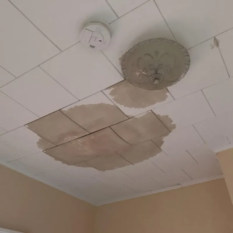 Ceiling Water Damage Repair in Monroe County, TN