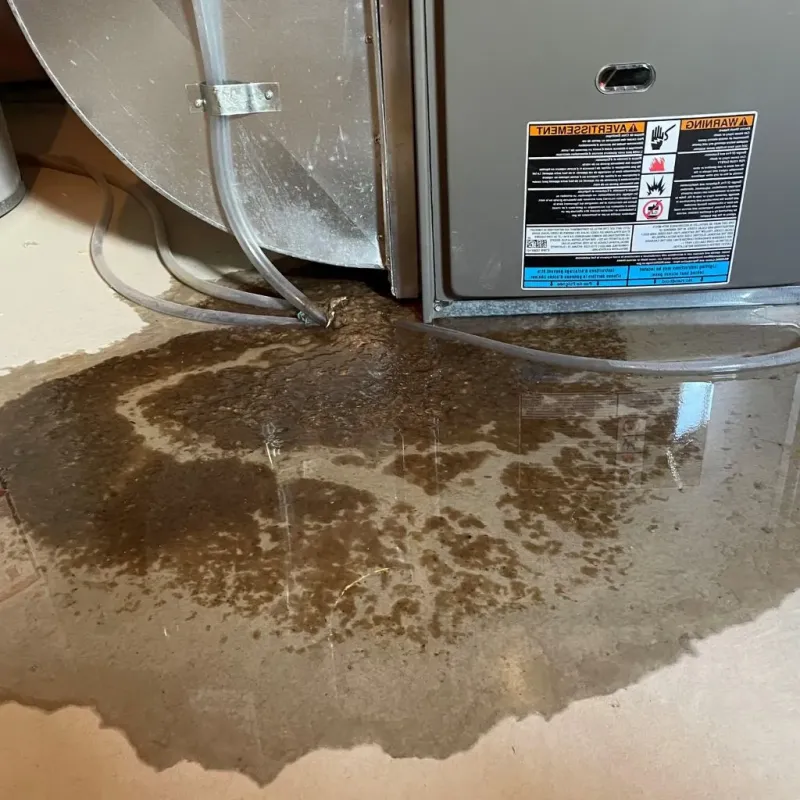 Pipe Burst and Leak Restoration in Monroe County, TN