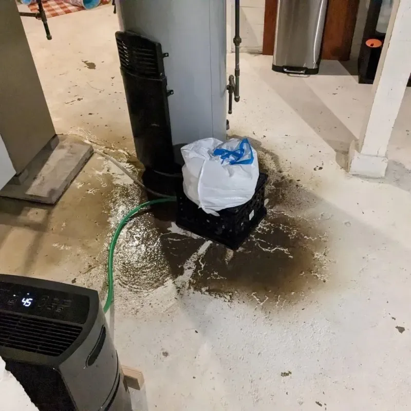 Sewage Backup Cleanup Service in Monroe County, TN